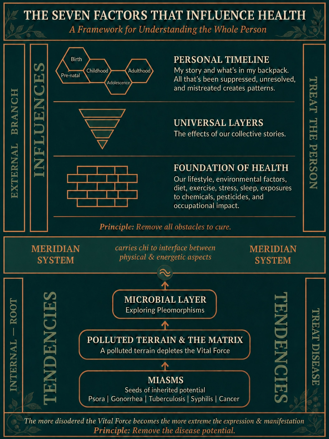 The Seven Factors that Influence Health — A Biological Approach to Illness and Health